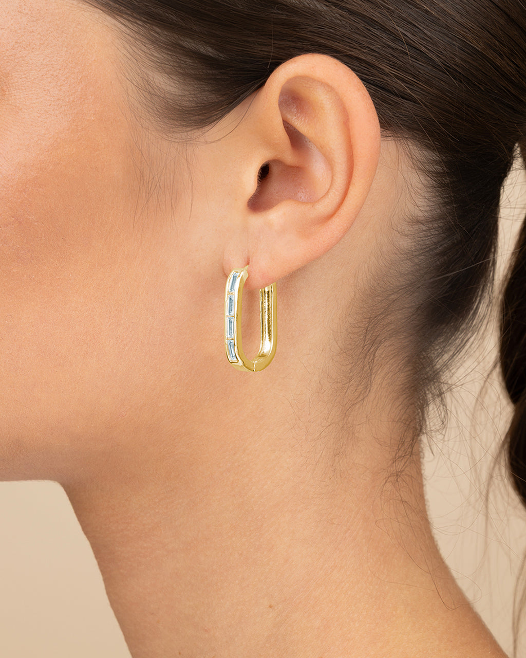 Roxanne CZ Micro Hoop Earrings